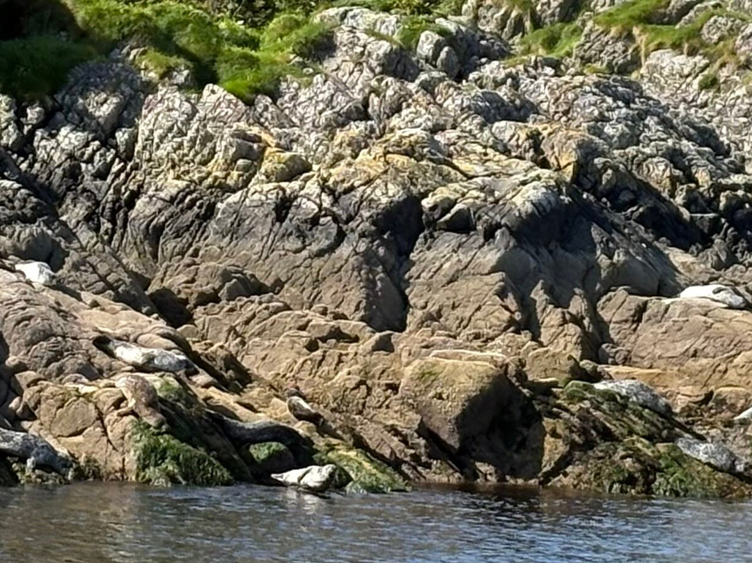 Western Isles Cruises-Mallaig必去景点