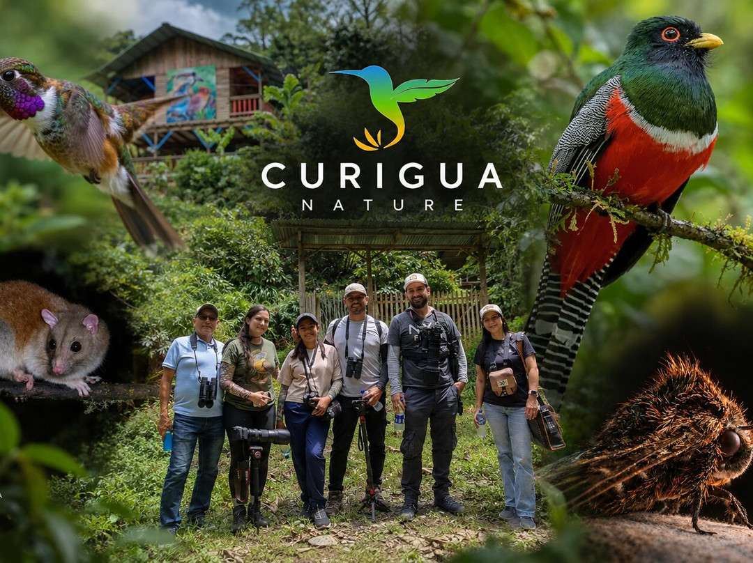 Curigua Nature-Buga必去景点