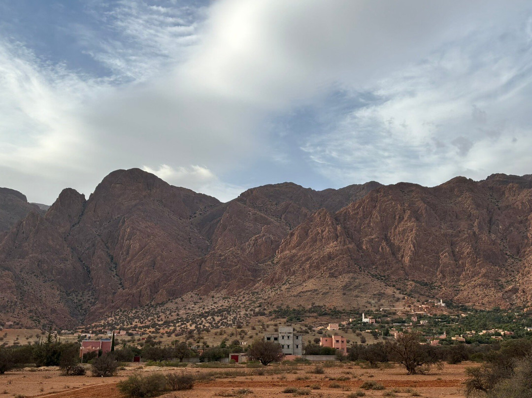 Riad Taliouine Safran