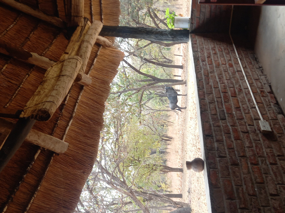 Kuti Wildlife Reserve-沙利马必去景点