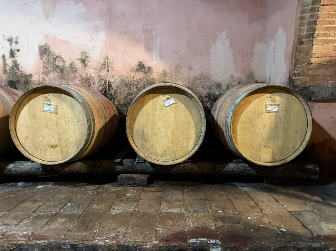 Fattoria Santa Vittoria-Foiano della Chiana必去景点