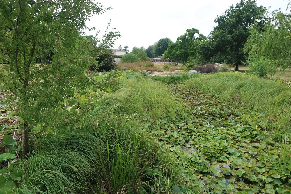 Woburn Abbey and Gardens-Woburn必去景点