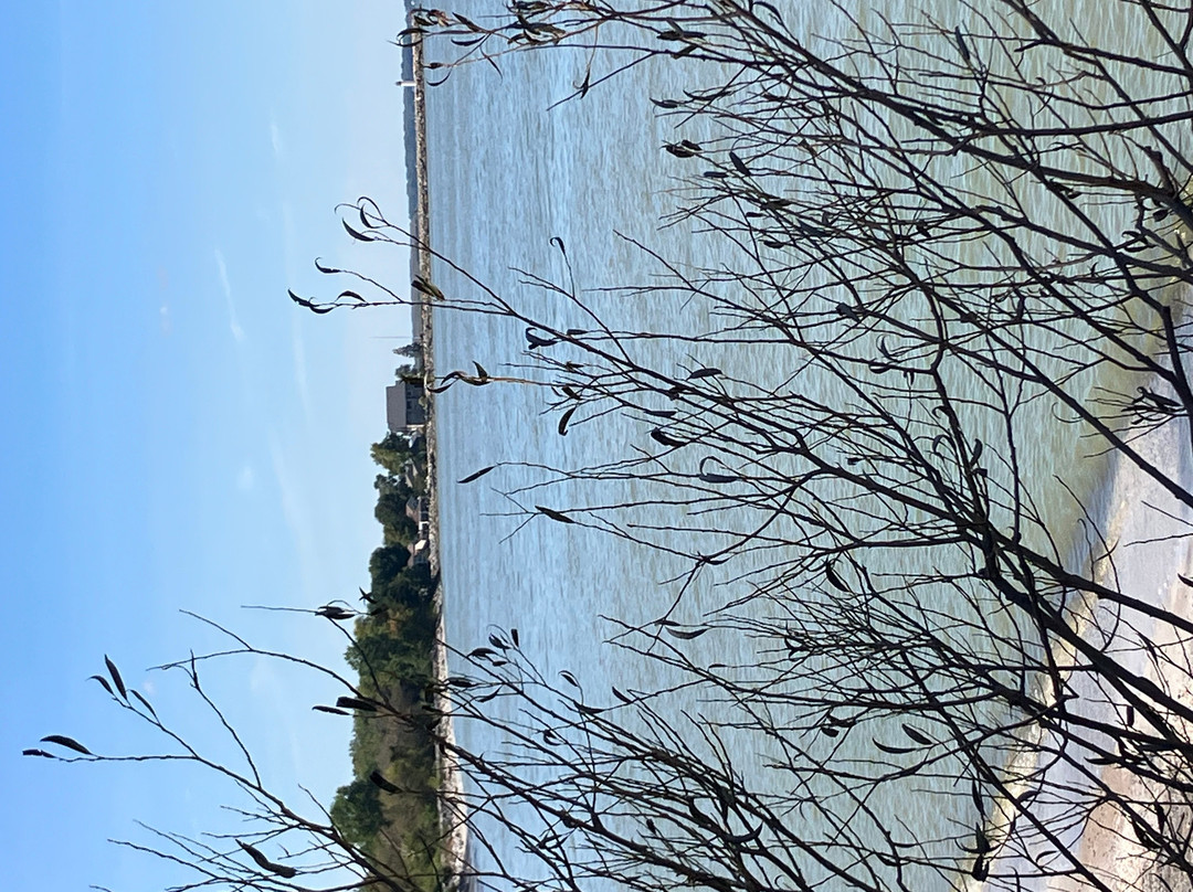 Maumee Bay State Park-Oregon必去景点