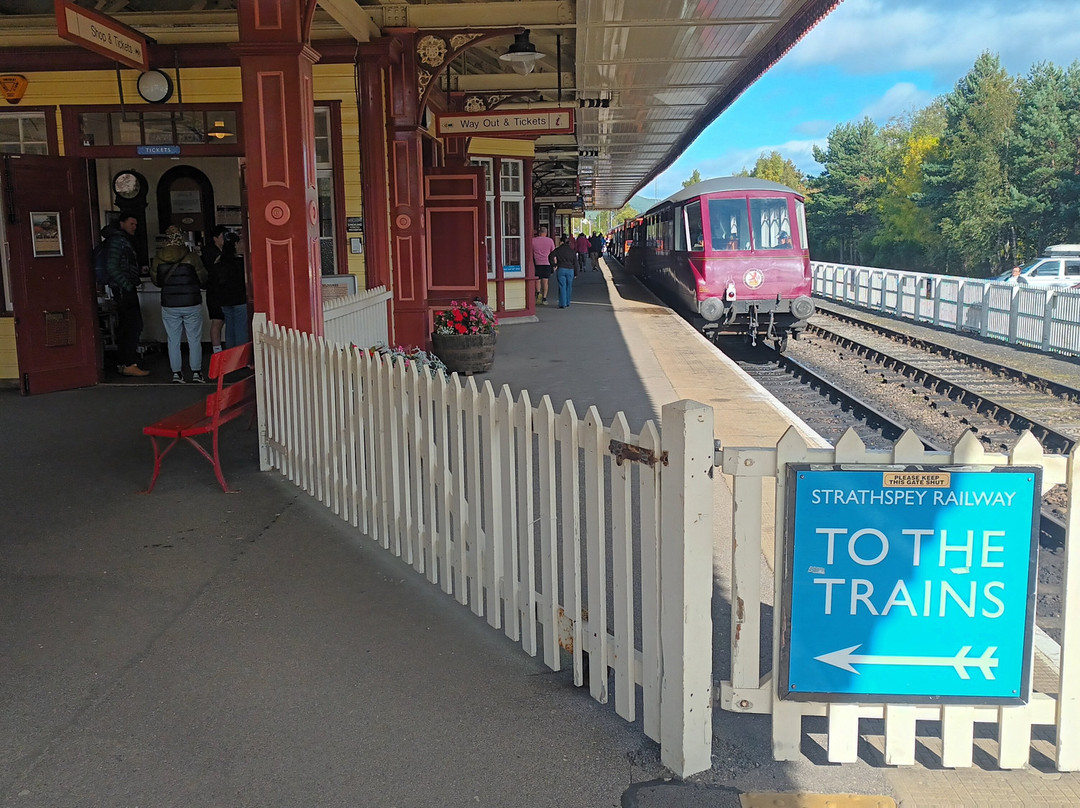 Strathspey Railway-阿维莫尔必去景点