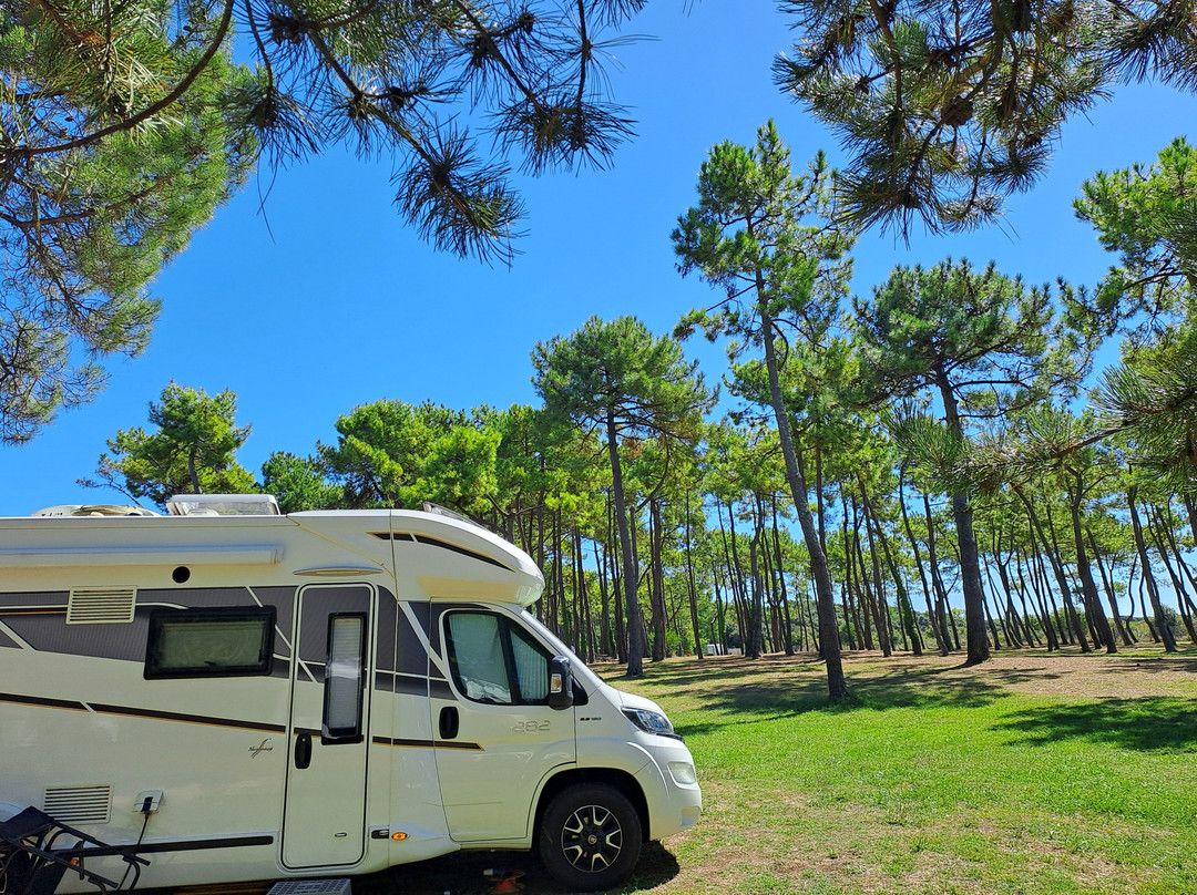 Camping Le Dauphin