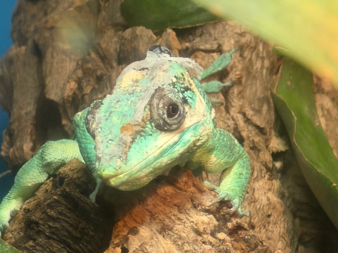 ABQ BioPark Zoo-阿尔伯克基必去景点