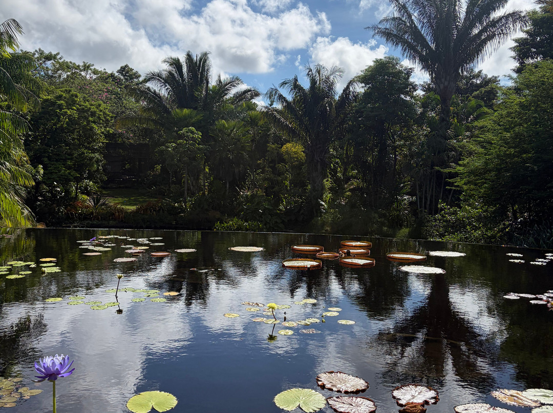 Naples Botanical Garden-那不勒斯必去景点