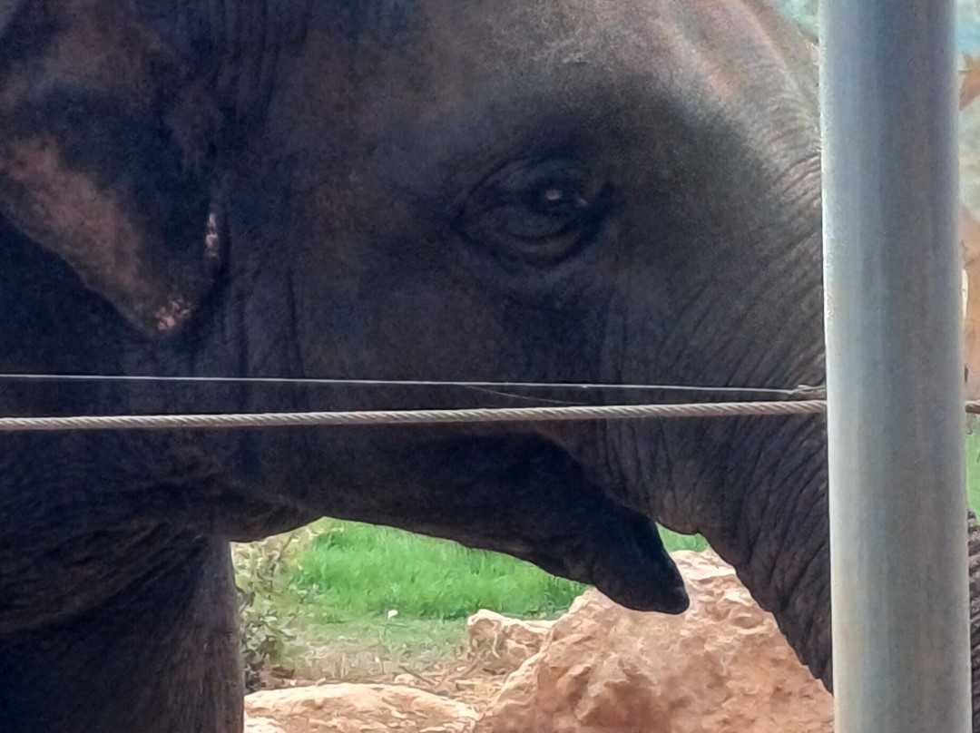 Pafos Zoo-帕福斯必去景点