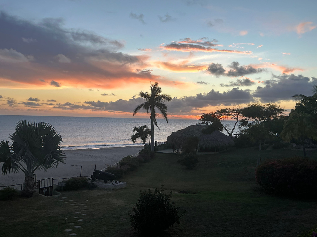 MycoMeditations Psilocybin-Assisted Retreats-瑰宝滩必去景点