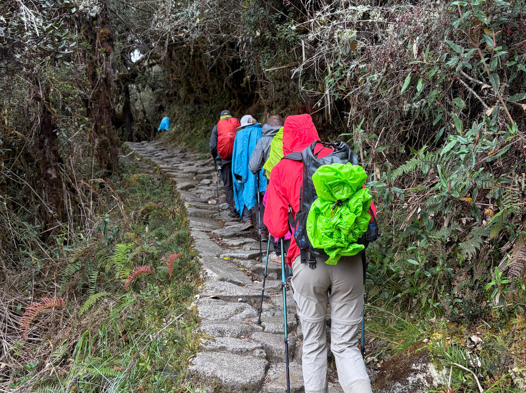 Alpaca Expeditions-库斯科必去景点