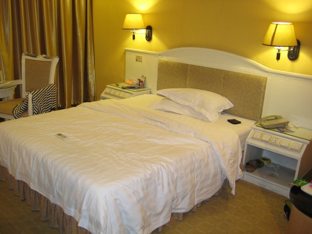 南宁精通酒店三月花店-客卧