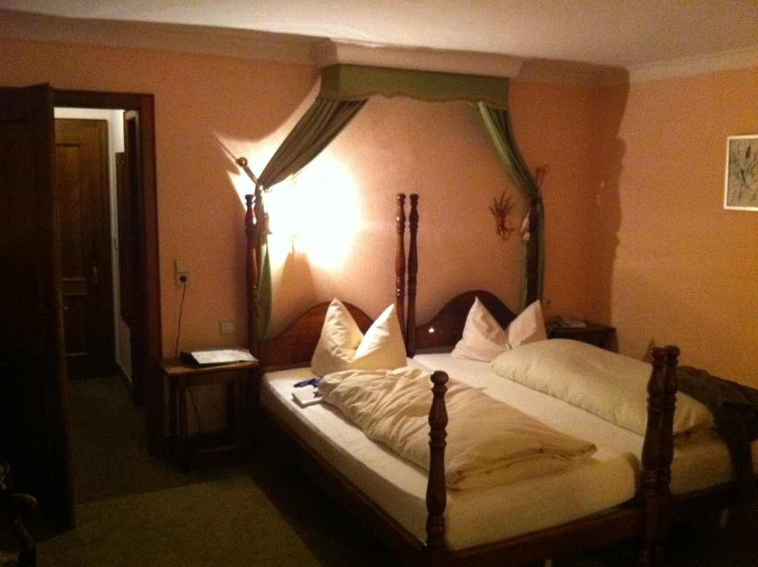 Winden im Elztal酒店住宿-施多罗是瓦兹瓦尔德酒店