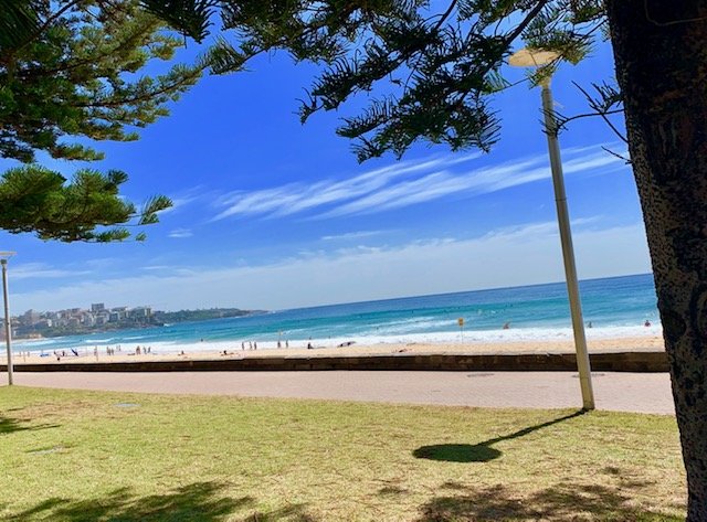 Manly Paradise Motel & Apartments-官方