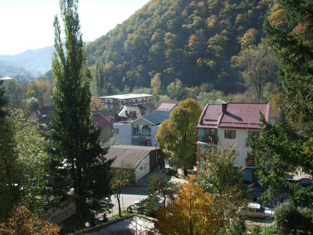 Hotel Domogled