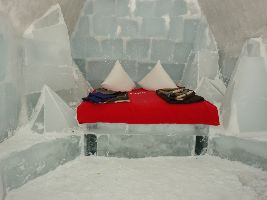 Cartisoara酒店住宿-Ice Hotel Romania