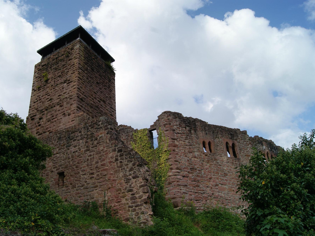 Hirschhorn (Neckar)旅游攻略图片