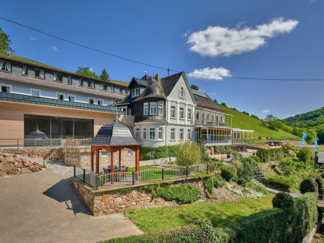 Oberheimbach酒店住宿-Hotel Weinberg-Schlosschen