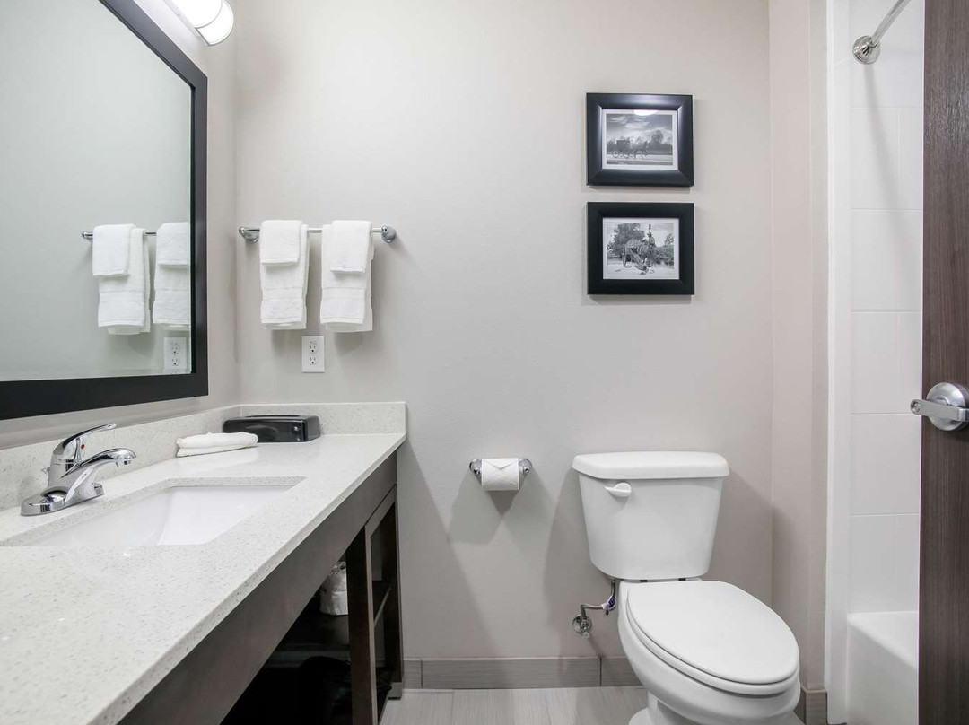 Catoosa酒店住宿-Holiday Inn Express & Suites Tulsa East - Catoosa By IHG