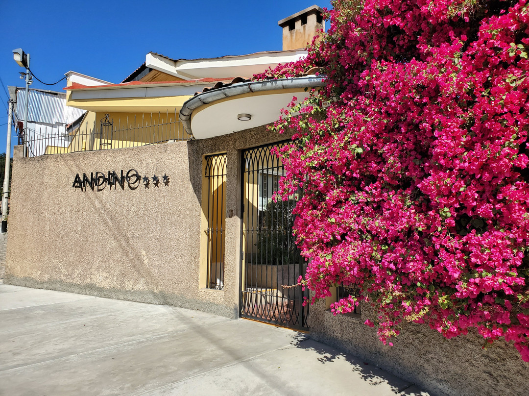 瓦拉斯酒店住宿-Andino Club Hotel