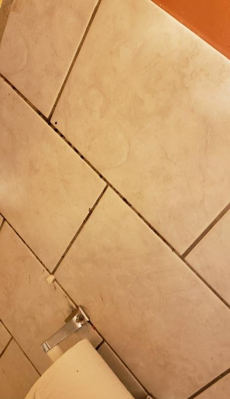 诺格塔克汽车旅馆