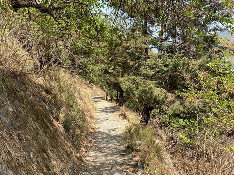 Jakh酒店住宿-Zostel Plus Nainital (Naina Range)