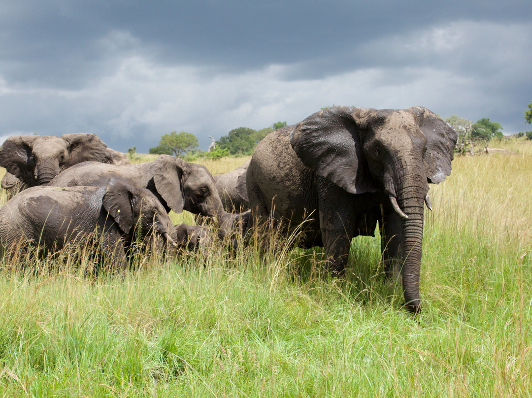 Objectif Tanzania-阿鲁沙必去景点