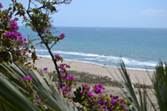 Life is a Beach Barcelona's Uutback Tours - Tour-卡斯特尔德费尔斯必去景点