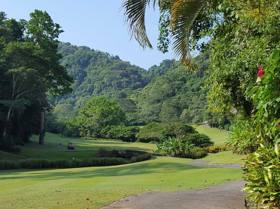 La Iguana Golf Course景点图片