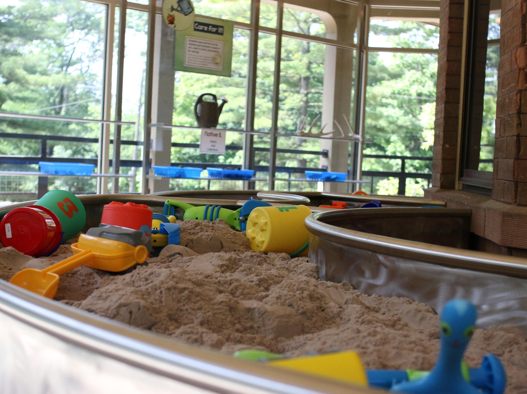 皮奥里亚旅游景点-Peoria PlayHouse Children's Museum