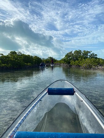 Clear Bottom Adventures-普罗维登西亚莱斯必去景点