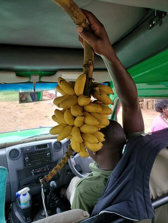 Jungle Memories-Wakiso必去景点