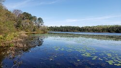 Parvin State Park-Elmer必去景点