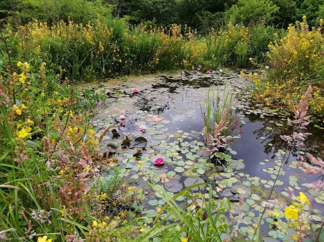 Penrose Water Gardens-特鲁罗必去景点