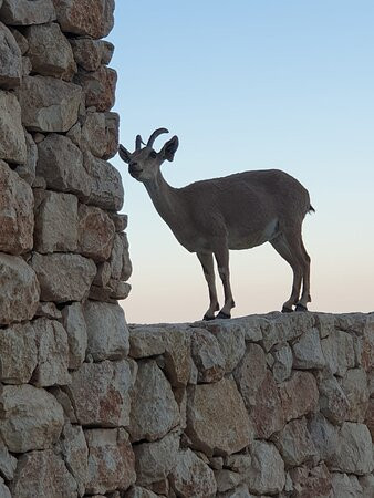 Beresheet By Isrotel Exclusive主图