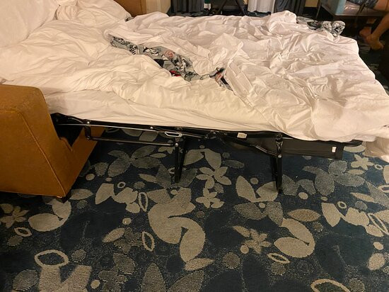 汉普顿麦迪逊市中心套房及酒店主图