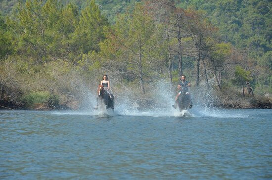 Pinar Horse Safari景点图片