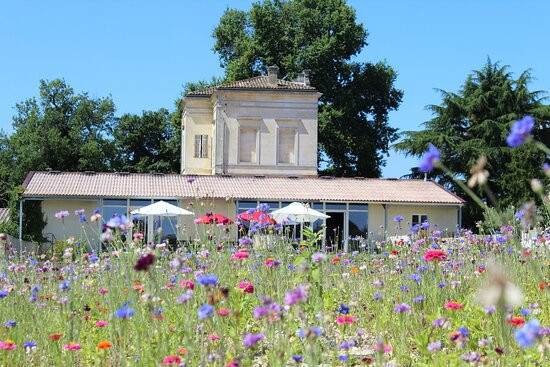 Château Lartigue Cedres景点图片