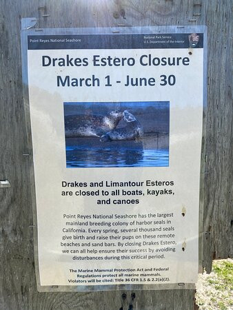 Drakes Estero景点图片