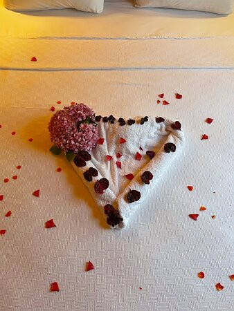 Olbios Marina Resort主图