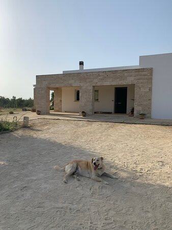 索斯塔阿波南特B&B酒店主图