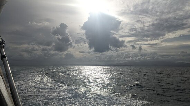 Nauti Mermaid Charters-维切克岛必去景点