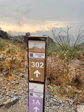 匹斯特娃峰-凤凰城必去景点
