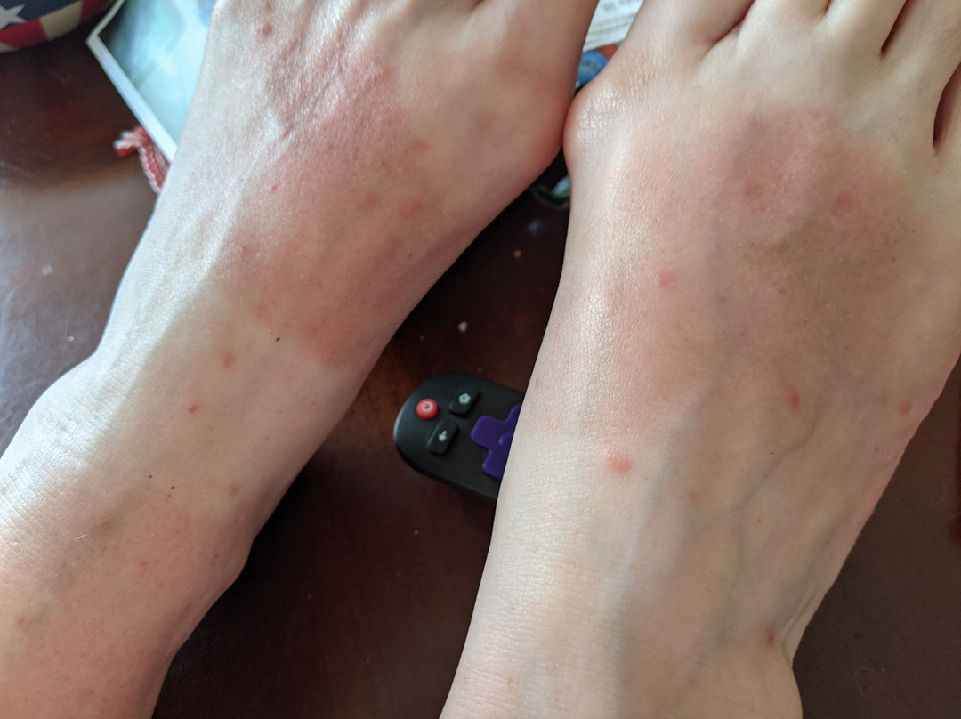 贝斯特韦斯特沃喀莎酒店主图