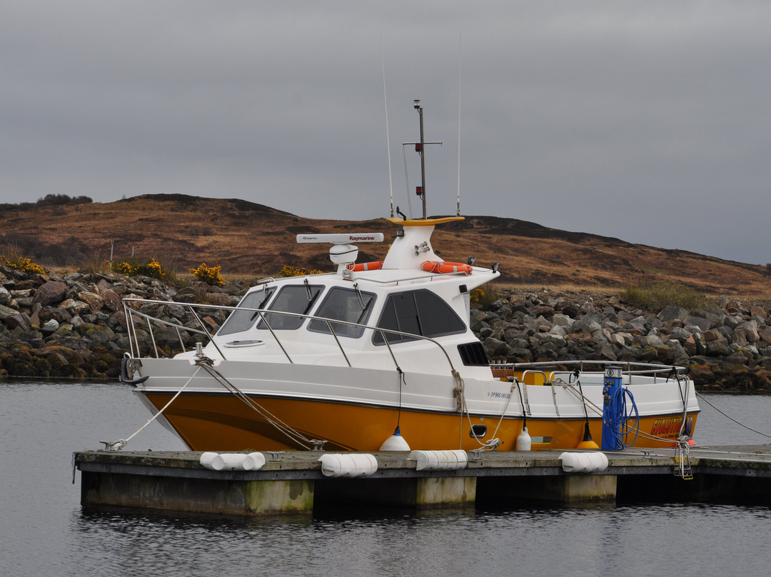 Fyne Sea Tours