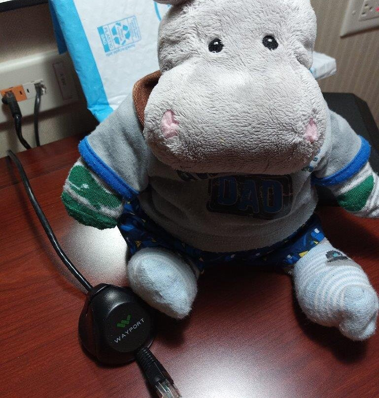 密尔沃基公园希尔顿花园酒店主图