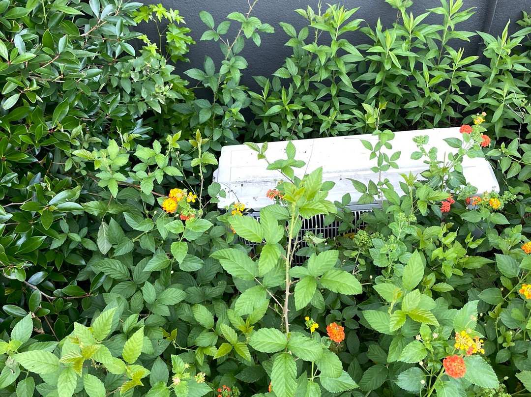 La Quinta Inn & Suites By Wyndham Hammond主图