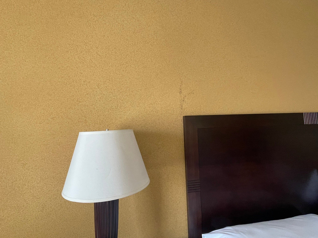 Holiday Inn Express & Suites El Paso West By IHG主图