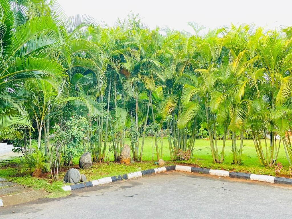 皇家兰花大酒店主图