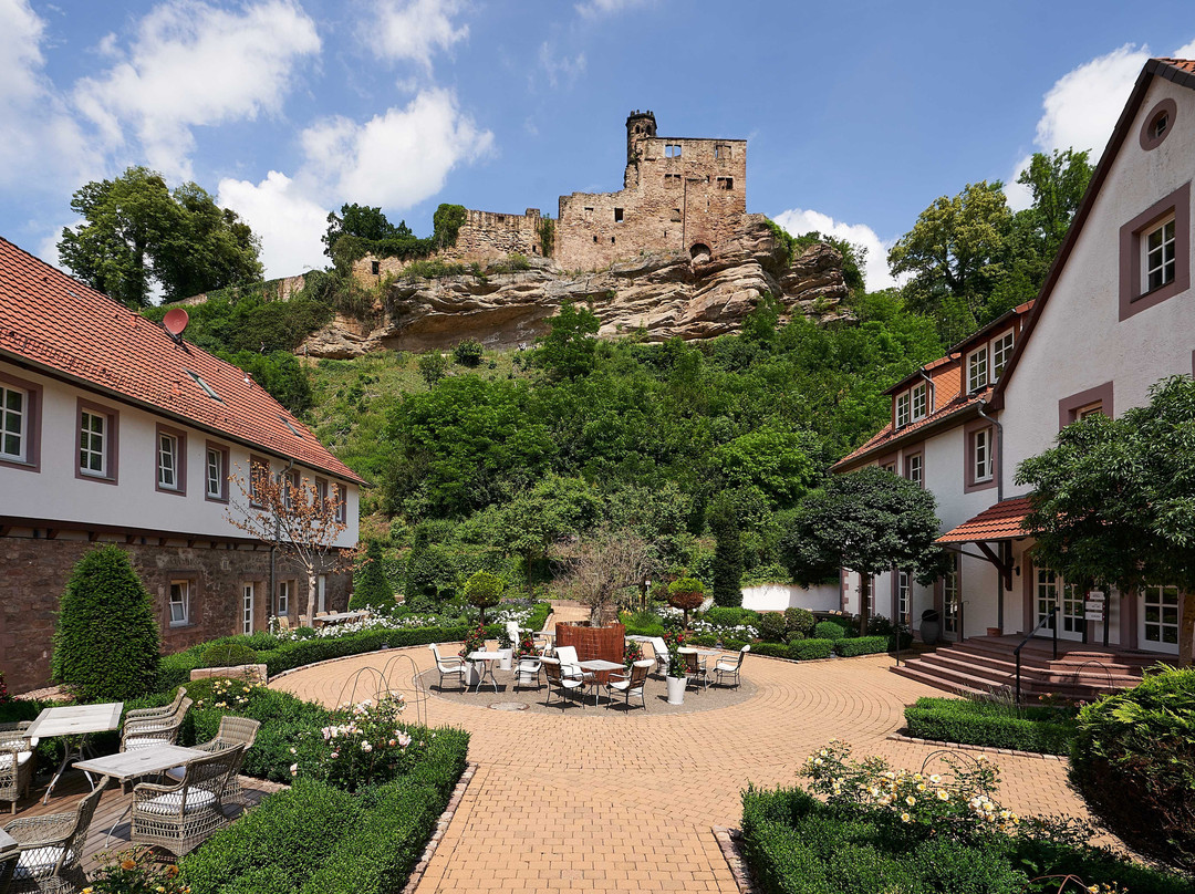 Hardenberg BurgHotel主图