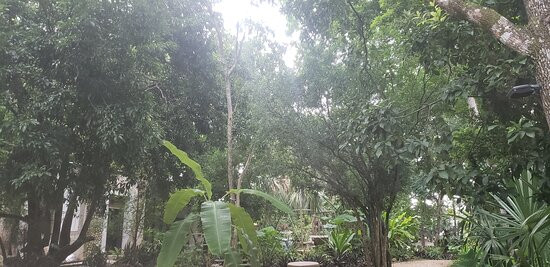 Verde Morada Hotel Encuentro主图